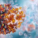 the Fitness LAB 이미지