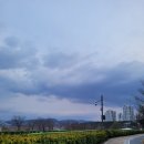 한솔동 축구장 이미지