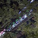 핑크노래연습장 이미지