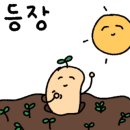 흑돼지형제들 이미지