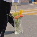 꽃시장 다녀왔어요.