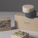 동그리솝 이미지