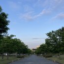 세림 이미지