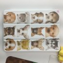 뽀도독(for the dog) | 테무에서 뭐 샀을까 /테무추천템/마우스패드,아이패드케이스,소니엔젤스티커