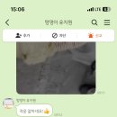 멍댕이 애견유치원 이미지