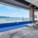 신지면-5 이미지