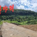 정영식공인중개사사무소 이미지