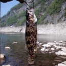 상진대교 밑 이미지