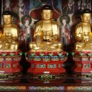 진주 월명암 목조아미타여래좌상 이미지