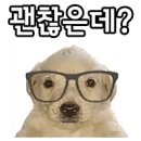 솔다방 이미지