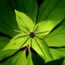 내일을향하여 이미지