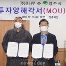 큰나무 주식회사 이미지