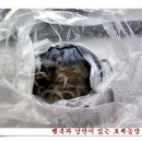 낙지 한접을 아시나요? 이미지