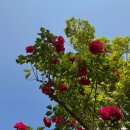 어린이 컴퓨터 기초 2 | 한국사능력검정 심화 1급 합격 후기