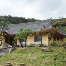 황토와소나무 이미지