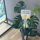 거제미술친구학원