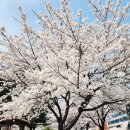 한숲사거리(중앙공원쪽) 이미지