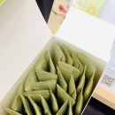 건강담다 유기농 엑스트라버진 올리브오일 후기｜공복 올리브오일 찾다가 정착한 스틱형 올리브오일