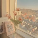 신용한 행정학 ox 정리 - 공무원 행정학