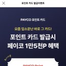 페이코 카드발급받고 최대 28000포인트 적립받자 이미지