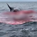 바다위에 이미지