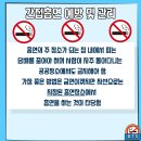 너담 이미지