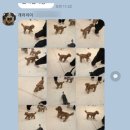 개러리아 송파점 이미지