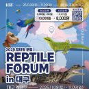 핑키펫 | 2025.11.08-09 대구렙타일 포럼! 관련 정보