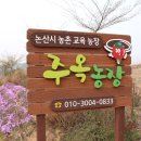 꼼짝마라 교육