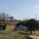 배미농장 이미지