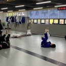 미르 주짓수 유도관 이미지