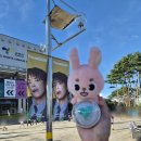 이천시 종합운동장 주경기장 | [25.08.30] DAY6 10th Anniversary Tour &lt;The DECADE&gt; 직관후기 (고양종합운동장 (WEST 3층 W6구역 04열)