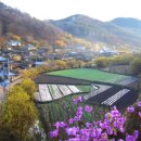 사곡중학교 이미지