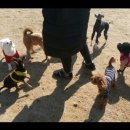 (주)네오팝 이미지