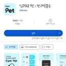 옐로시스(주) | 집에서 손 쉽게 하는 반려동물 건강검진 옐로시스 Cym702 Pet 소변검사 키트