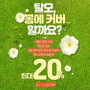 포커스여주 이미지