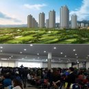 동일그린