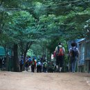 소나무헬스클럽 이미지