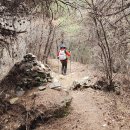 곡성-192 이미지