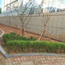 인천송천고등학교 이미지