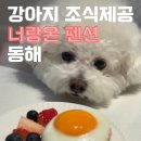 너랑 온 이미지