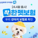착한펫#