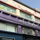 뽀바방 2번도로점 | [구미/원평동] 구미미용실 '화미주아티클헤어' 문화로점 #허그펌(C컬펌) 후기