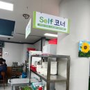 백김치새싹막회 이미지