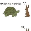 토끼와거북이