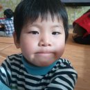 진성목장 이미지