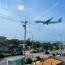 🌴떠나요 제주도 푸른 밤 1~2일차: 20240807~0808