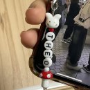 화정카마스터 | 미래는 아직 심어본 적 없는 문장