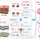 팀일렉트로닉스 이미지