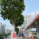 신반포주유소 이미지